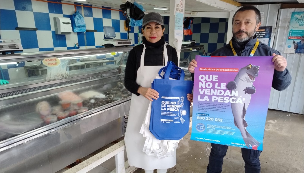 TRAS UN MES DE VEDA, VUELVE LA CONOCIDA ‘PESCÁ’ O MERLUZA COMÚN