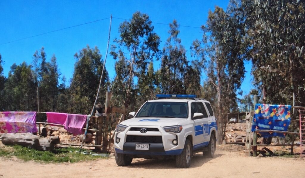 PDI VALPARAÍSO DETUVO A HOMBRE POR MALTRATO ANIMAL Y FAENAMIENTO CLANDESTINO EN PLACILLA
