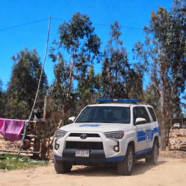 PDI VALPARAÍSO DETUVO A HOMBRE POR MALTRATO ANIMAL Y FAENAMIENTO CLANDESTINO EN PLACILLA